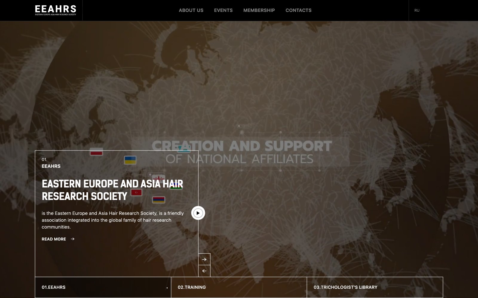EEAHRS website, the Eastern European and Asian Hair Research Society, designed by Peretz