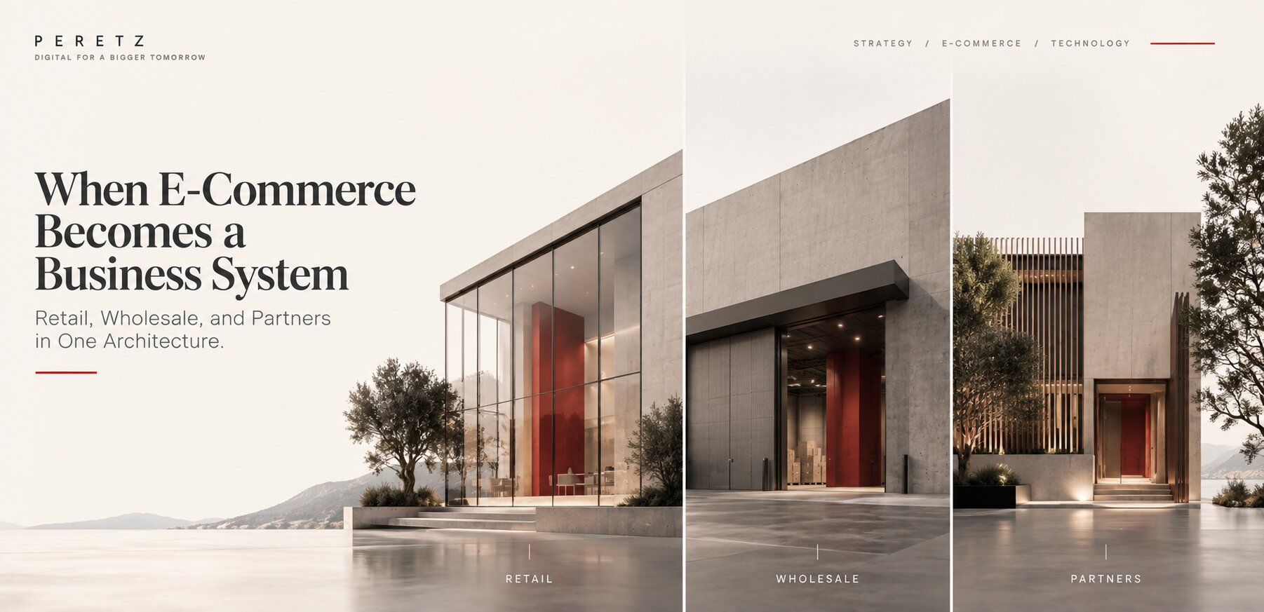 when e-commerce becomes a business system, retail wholesale and partners in one architecture, by Peretz Group