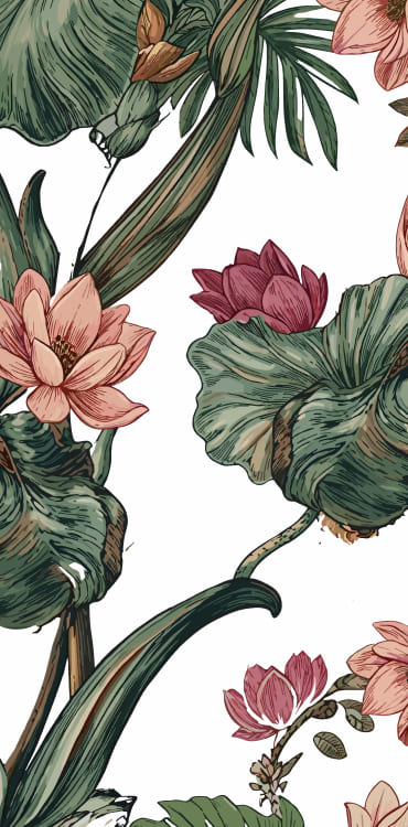 SHTAYER magnolia botanical illustration