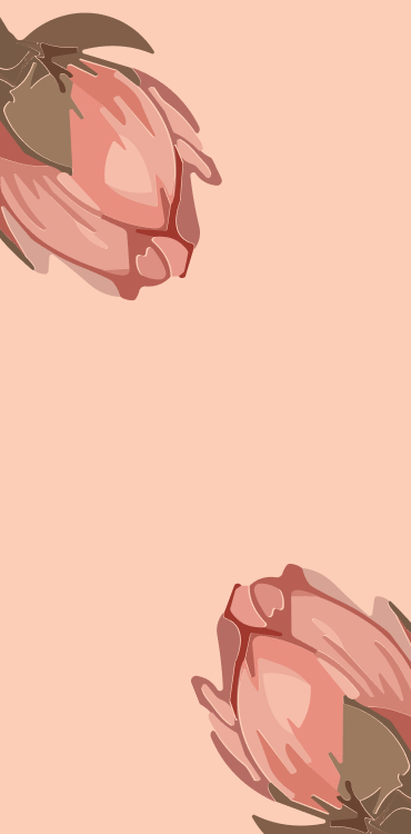 SHTAYER color palette